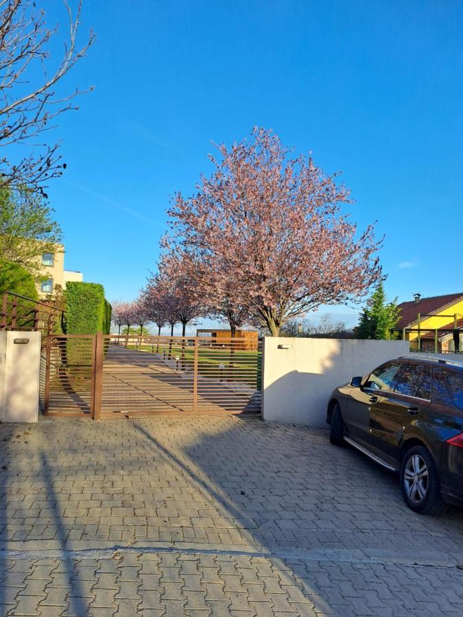 Villa Sunny Side Apartment Skopje Dolno Solnje Exterior foto